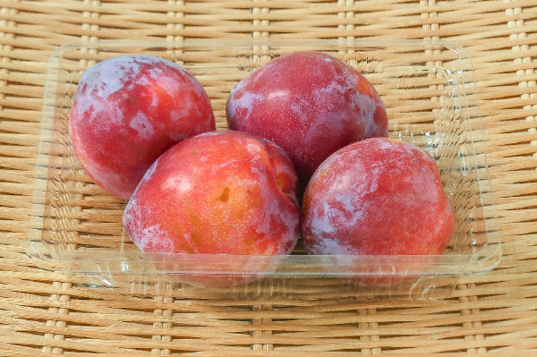 サンセプト（4L）（秀）500gr4入