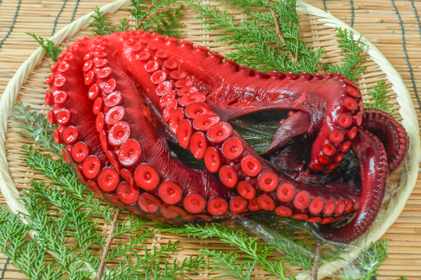 ワモンダコ 【業務用食材の仕入れなら八面六臂】