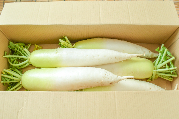 大根（AL）箱5kg