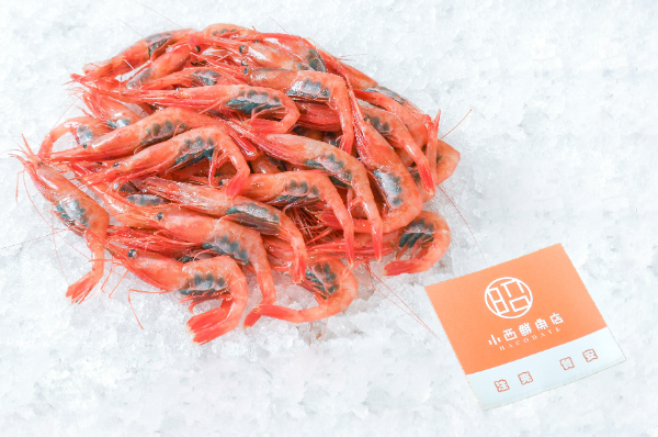 アマエビ（甘海老） 【業務用食材の仕入れなら八面六臂】