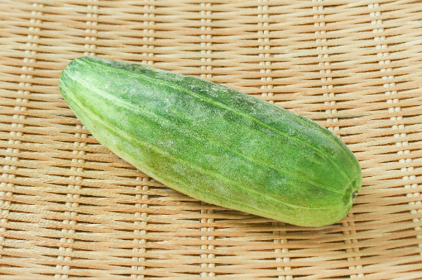 青はぐらうり