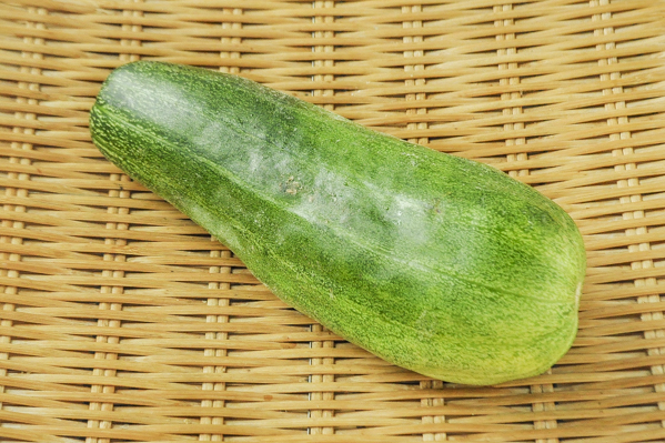 青はぐらうり 八面六臂