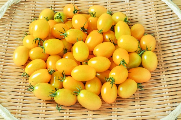 アイコトマト（L）（黄）1kg