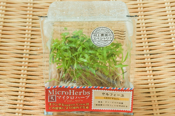 マイクロハーブ（セルフィーユ）