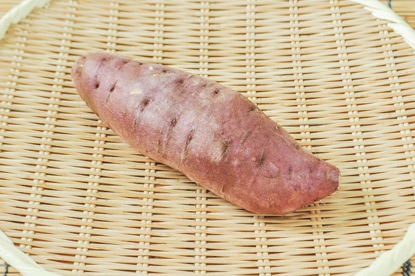 栗かぐや苗500本送料込み 栗かぐや苗500本