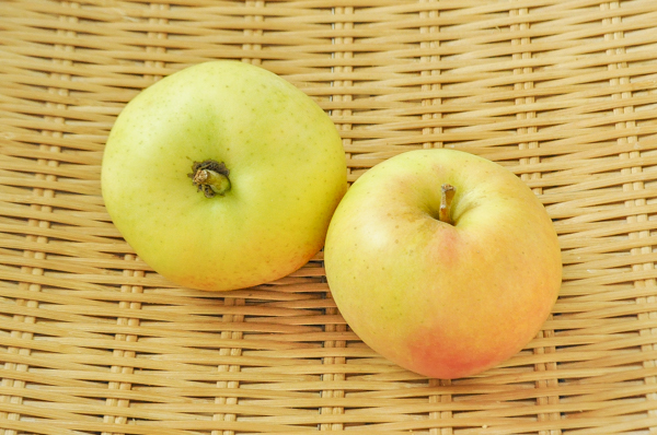 黄色りんご（トキ）（36-40玉サイズ）