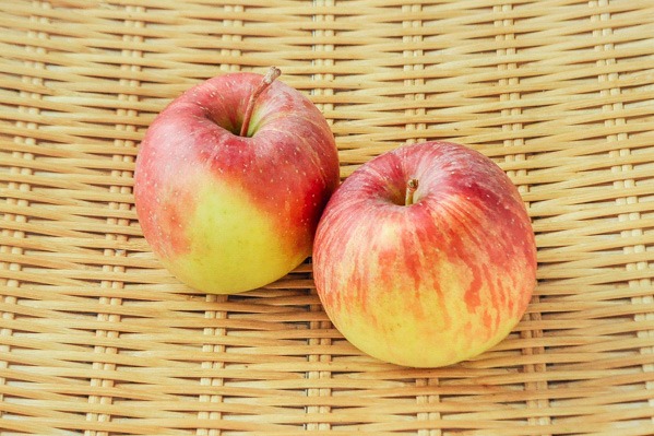 りんご（早生ふじ）（50玉サイズ）