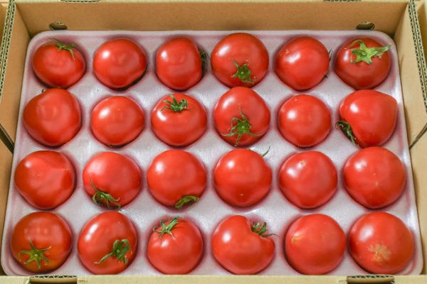 中玉トマト（2S）箱1kg