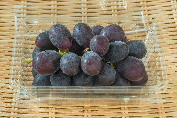 マスカットノワール（2L）（秀）