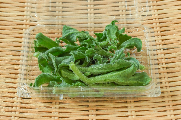 アイスプラント 【業務用食材の仕入れなら八面六臂】