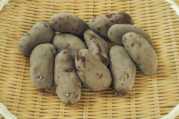赤じゃがいも ノーザンルビー M 八面六臂