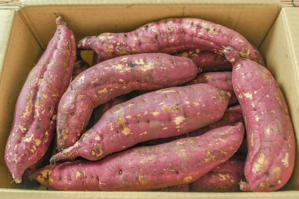 紅はるか（L） 【業務用食材の仕入れなら八面六臂】