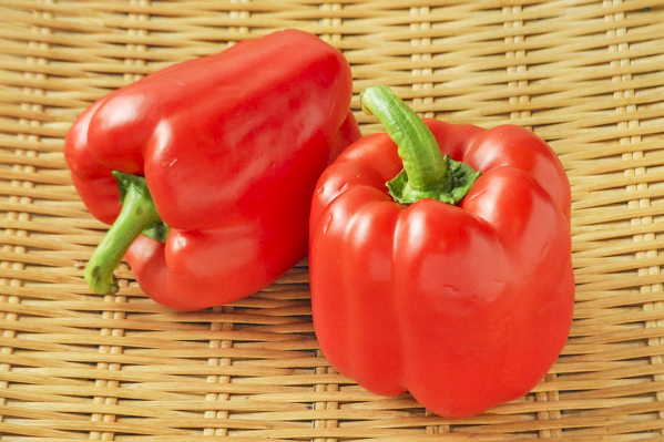 パプリカ 赤 L 八面六臂