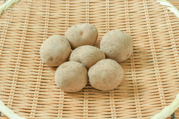 オホーツクチップ（M）500gr