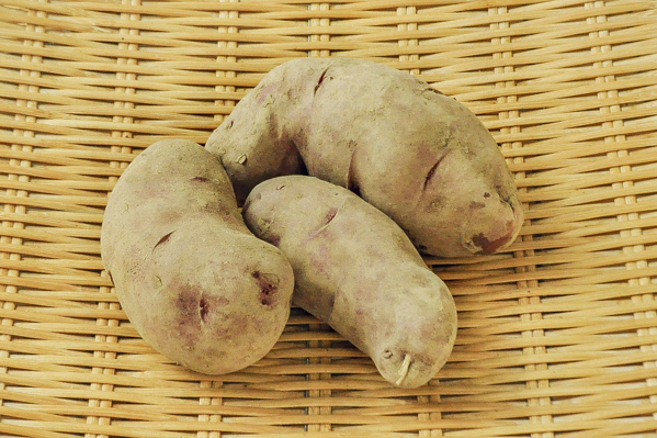 赤じゃがいも ノーザンルビー L 八面六臂