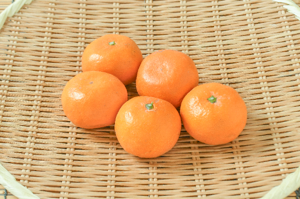 持丸みかん（M）
