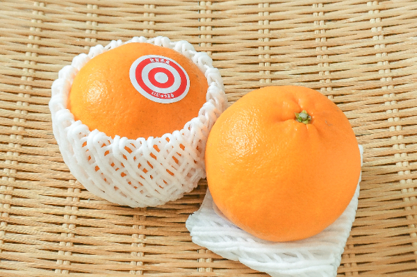 みかん（2S）（丸秀） 【業務用食材の仕入れなら八面六臂】