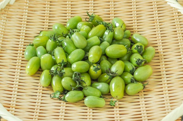 ミニトマト（サングリーンプラム）（小）500gr