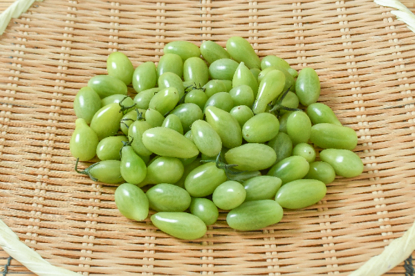 ミニトマト（グリーンプラム）（小）