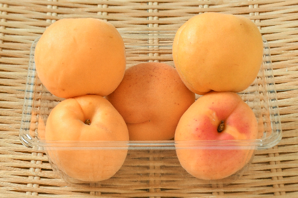 あんず（杏）（生食用）