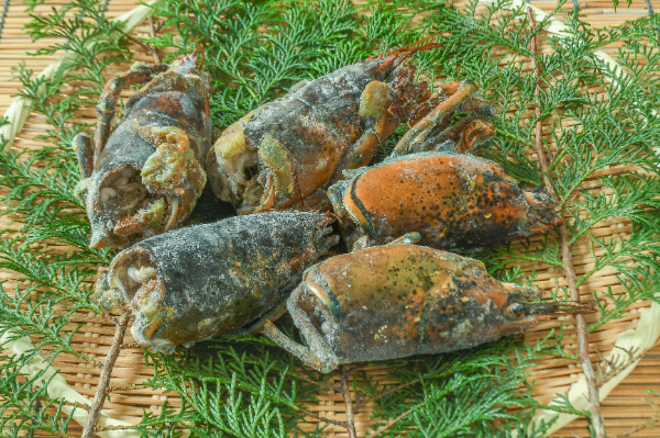 オマール海老ヘッド　1kg