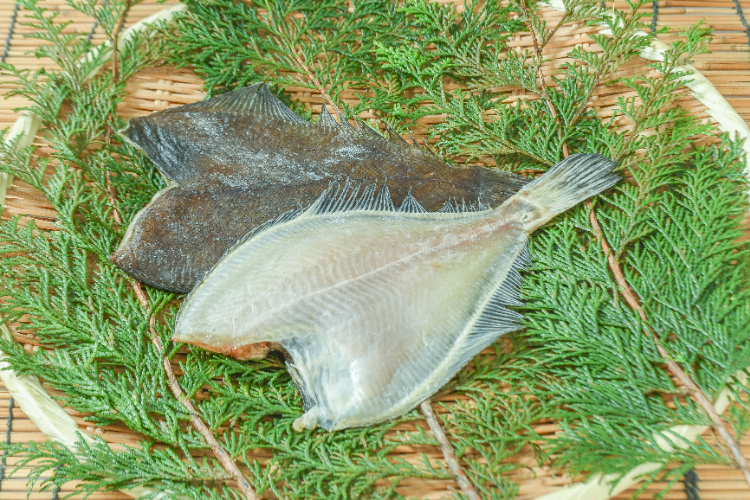 浅羽カレイ一夜干し