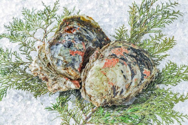 天然岩牡蠣（加熱用）