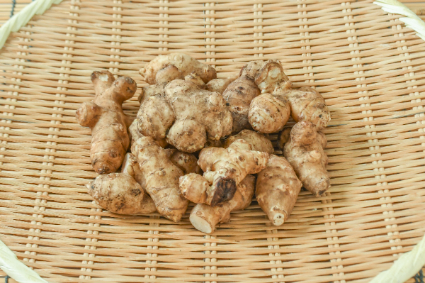 菊芋　500gr