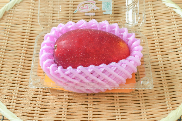 ピーチマンゴー（10玉サイズ） 【業務用食材の仕入れなら八面六臂】