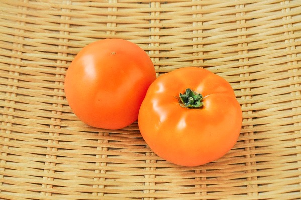 オレンジトマト（マンゴートマト）（19玉サイズ）