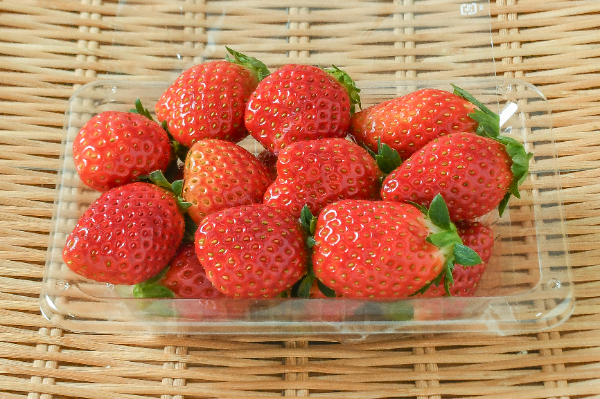 とちおとめ（AA）