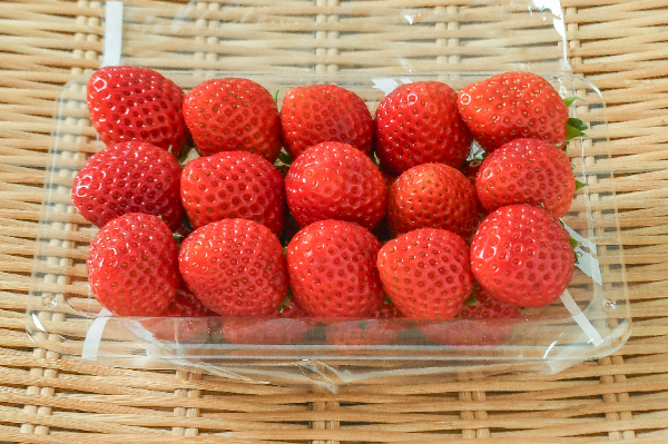 とちあいか（SDサイズ） 【業務用食材の仕入れなら八面六臂】