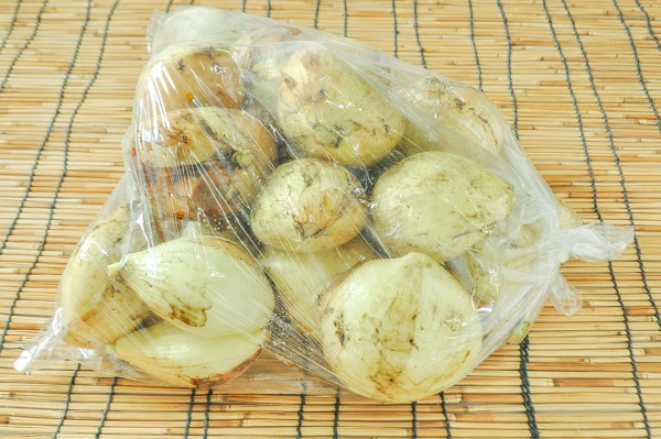新玉ねぎ（BM）