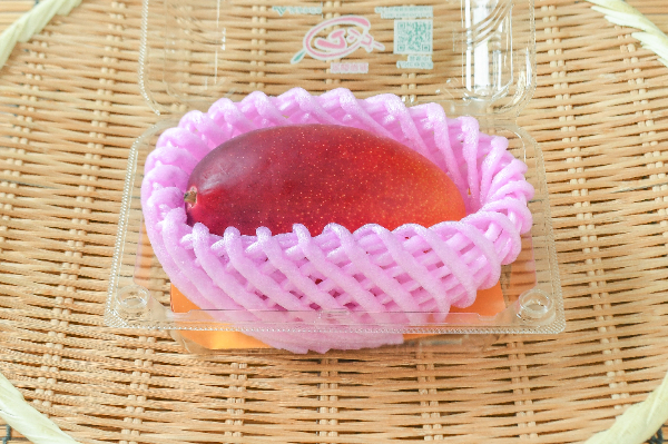 ペリカンマンゴー（24玉サイズ） 【業務用食材の仕入れなら八面六臂】