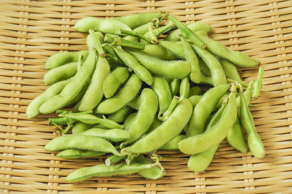 枝豆 駒豆 八面六臂