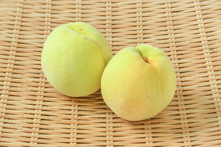甲斐黄桃（20玉サイズ）（優）