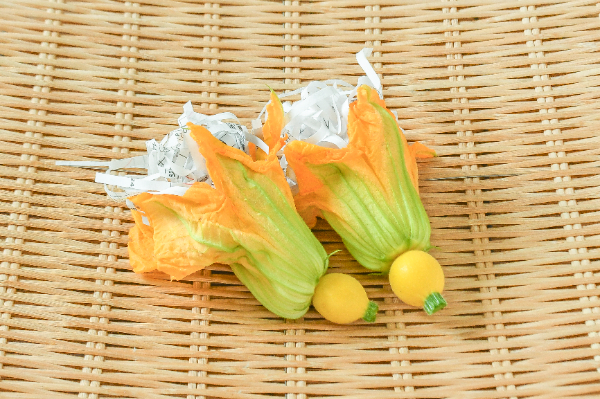 花ズッキーニ