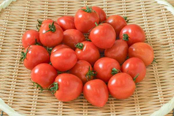 中玉トマト　1kg