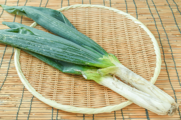斜めカット九条ねぎ 【業務用食材の仕入れなら八面六臂】