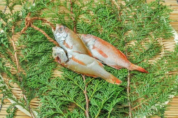 のどぐろ丸干し