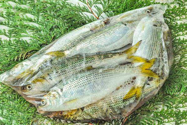 小魚・川魚（冷蔵） 【業務用食材の仕入れなら八面六臂】