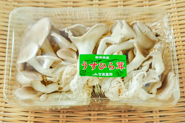 うすひらたけ