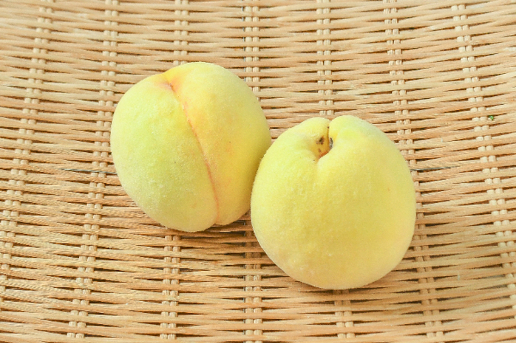 甲斐黄桃（22玉サイズ）（優）