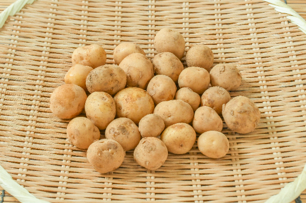 男爵薯（3S）500gr