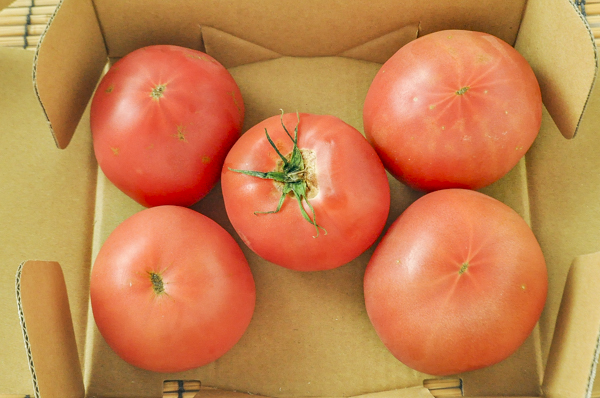 大玉トマト（小箱）