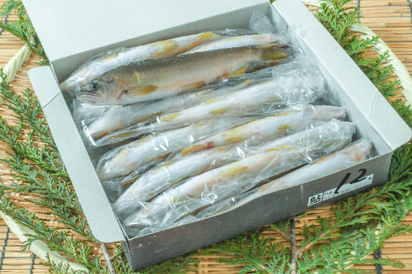 養殖あゆ（12尾） 【業務用食材の仕入れなら八面六臂】
