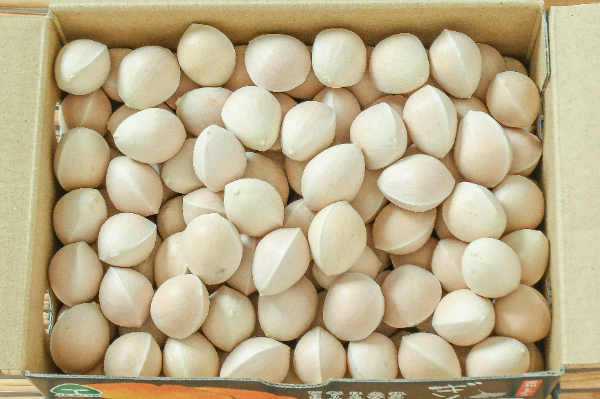 銀杏（藤九郎）（3L）500gr