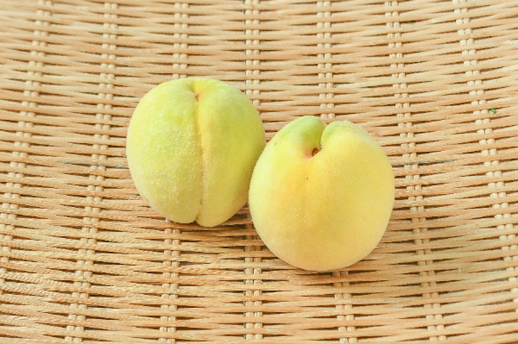 甲斐黄桃（25玉サイズ）（秀）