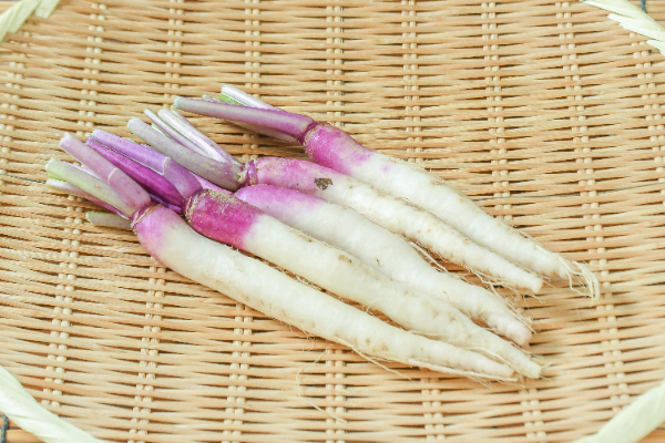 日野菜かぶ（中）