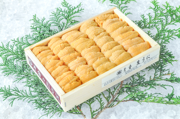 ムラサキウニ（B並び） 【業務用食材の仕入れなら八面六臂】